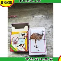 PHONICS[卡片][盒装]