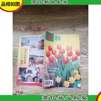 园林 1996.2 春季版/杂志[封面笔迹]