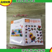 多元智能益智积木游戏:平面积木 创造力 1-3岁