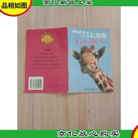 什么是长颈鹿[馆藏]