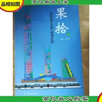 果拾2.0 : 深圳地铁9号线工程建设纪实[精装][大厚本]