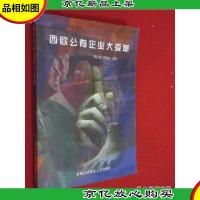 西欧公有企业大变革
