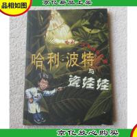 哈利·波特与瓷娃娃