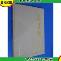 叶建新作品集水墨青花卷 硬精装