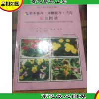 草本花卉·球根花卉·兰花原色图谱