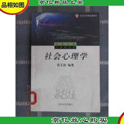 社会心理学——北京大学心理学丛书