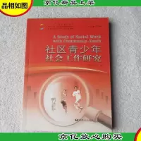 社区青少年社会工作研究