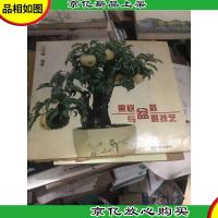 果树盆栽与盆景技艺