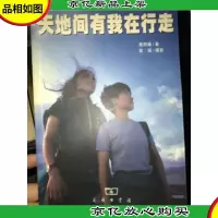 天地间有我在行走