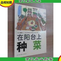 在阳台上种菜