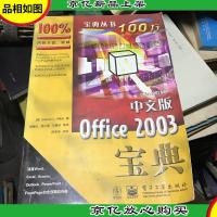 中文版Office 2003宝典