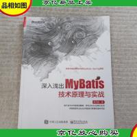 深入浅出MyBatis技术原理与实战