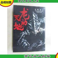 龙天动地:布施龙太怪物猎人画集