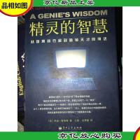 精灵的智慧