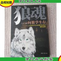 狼魂:向狼学生存