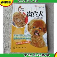 宠尚生活系列:贵宾犬(泰迪熊)