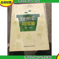 阳台种菜超简单