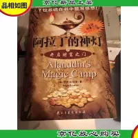 阿拉丁的神灯:开启财富之门