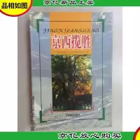 京西揽胜