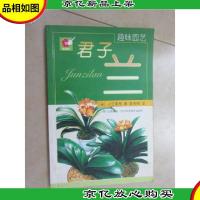 趣味园艺:君子兰