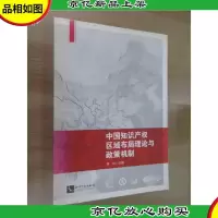 中国知识产权区域布局理论与政策机制