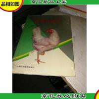 实用鸡病学