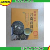 图说正解云南普洱茶