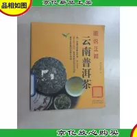 图说正解云南普洱茶