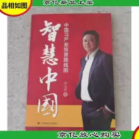 智慧中国:IT产业投资路线图