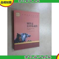 钢铁是怎样炼成的 名家名译世界经典文学名著 原汁原味读原著