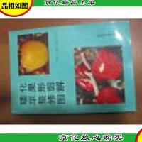 矮化苹果整形修剪图解