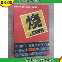 烧.*:21世纪中国*经济泡沫内幕纪实