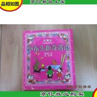 小布头新奇遇记(彩色珍藏版)