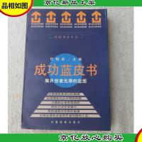 成功蓝皮书:展开创意无限的蓝图