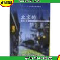 北京的梦影星尘:三千年古都的精神地图 C15南里上G