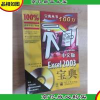 中文版Excel 2003宝典