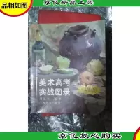 美术高考实战图录:色彩编