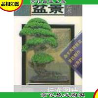 中州盆景艺术:杂木类树桩盆景的制作与养护