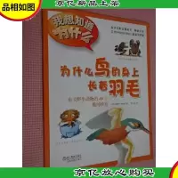 为什么鸟的身上长着羽毛
