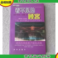 看不见的顾客——成功的网络客户服务战略