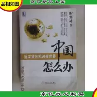 中国怎么办:当次货危机改变世界