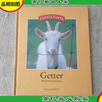 Getter 瑞典语原版 少儿图书