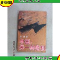 中国:另一种危机