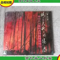烙在大地上的伤痕:来自大兴安岭火场的摄影报告