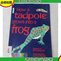 How a Tadpole Grows Into a Frog