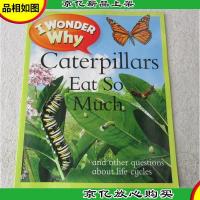 I Wonder Why Caterpillars Eat So Much: and Other Questions a