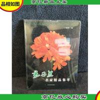 君子兰名家精品集萃