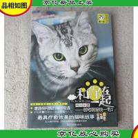 和你在一起:御宅萌猫钱一毛2