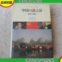 中国の諸言語 (歴史と現況)