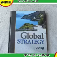 Global Strategy(3rd Edition)